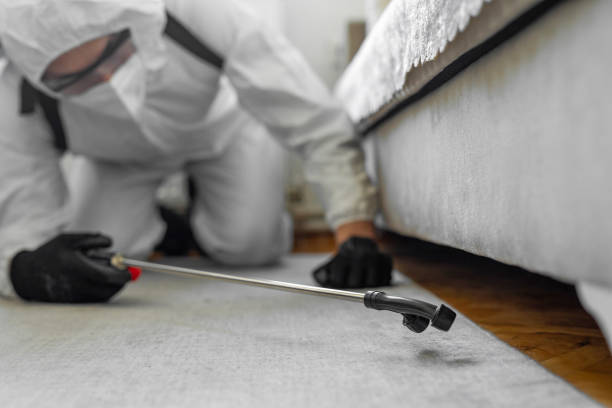 Professional Bed Bug Control technician working in Orleans, VT
